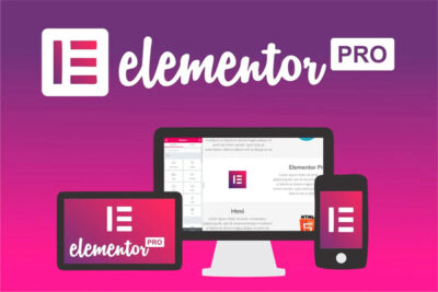 Elementor Pro